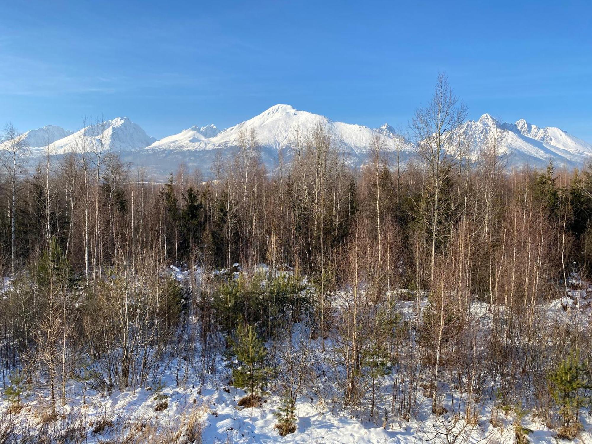 Apartman S Nadhernym Vyhladom Na Tatry Veľký Slavkov المظهر الخارجي الصورة